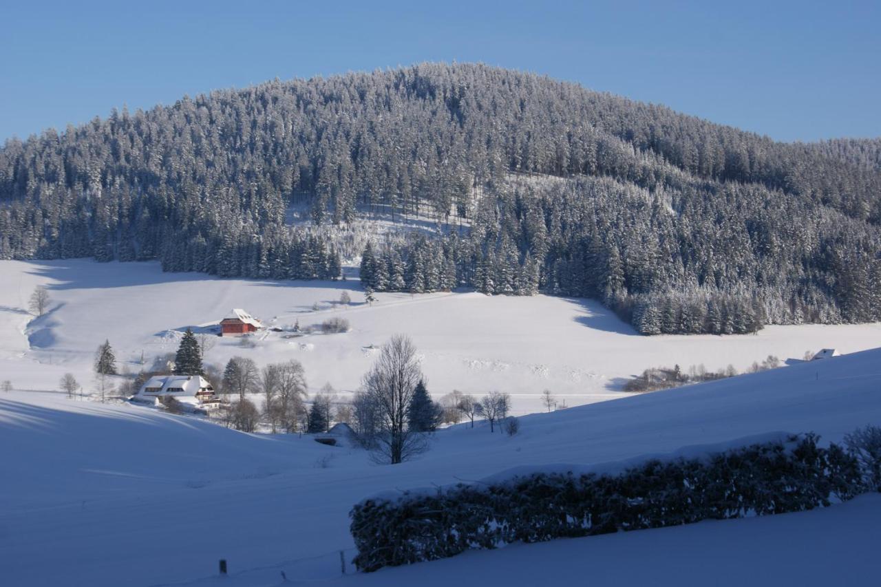 Zur Traube Schwarzwaldhotel & Restaurant Am Titisee Sankt Märgen Esterno foto