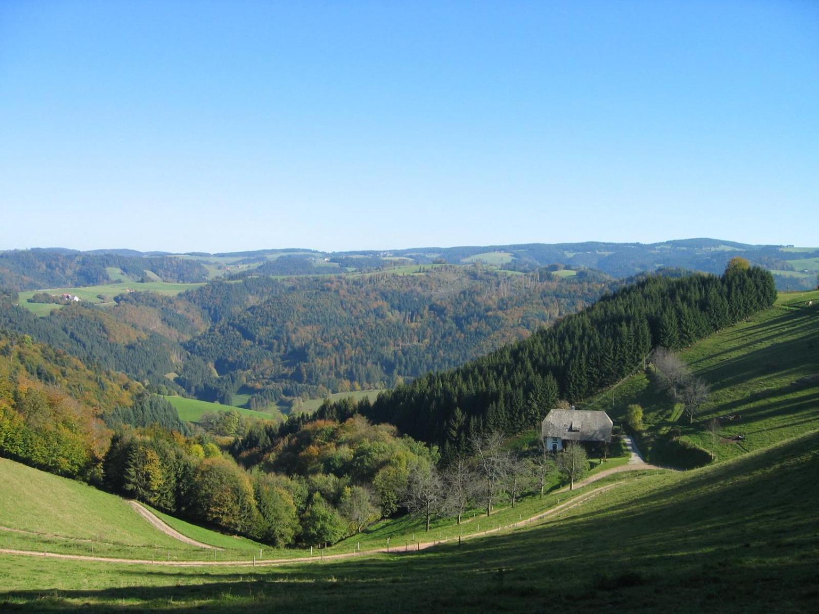 Zur Traube Schwarzwaldhotel & Restaurant Am Titisee Sankt Märgen Esterno foto