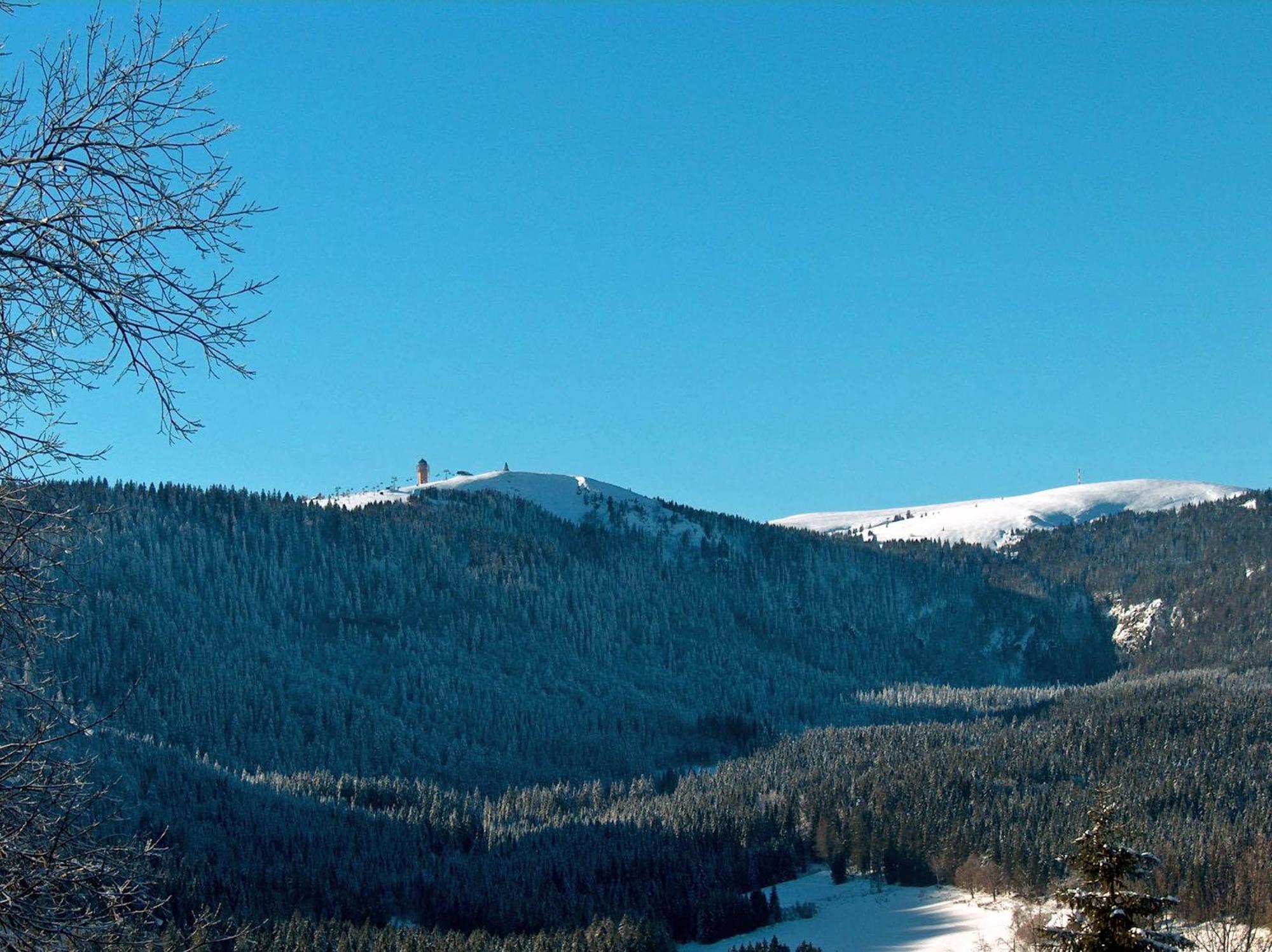 Zur Traube Schwarzwaldhotel & Restaurant Am Titisee Sankt Märgen Esterno foto