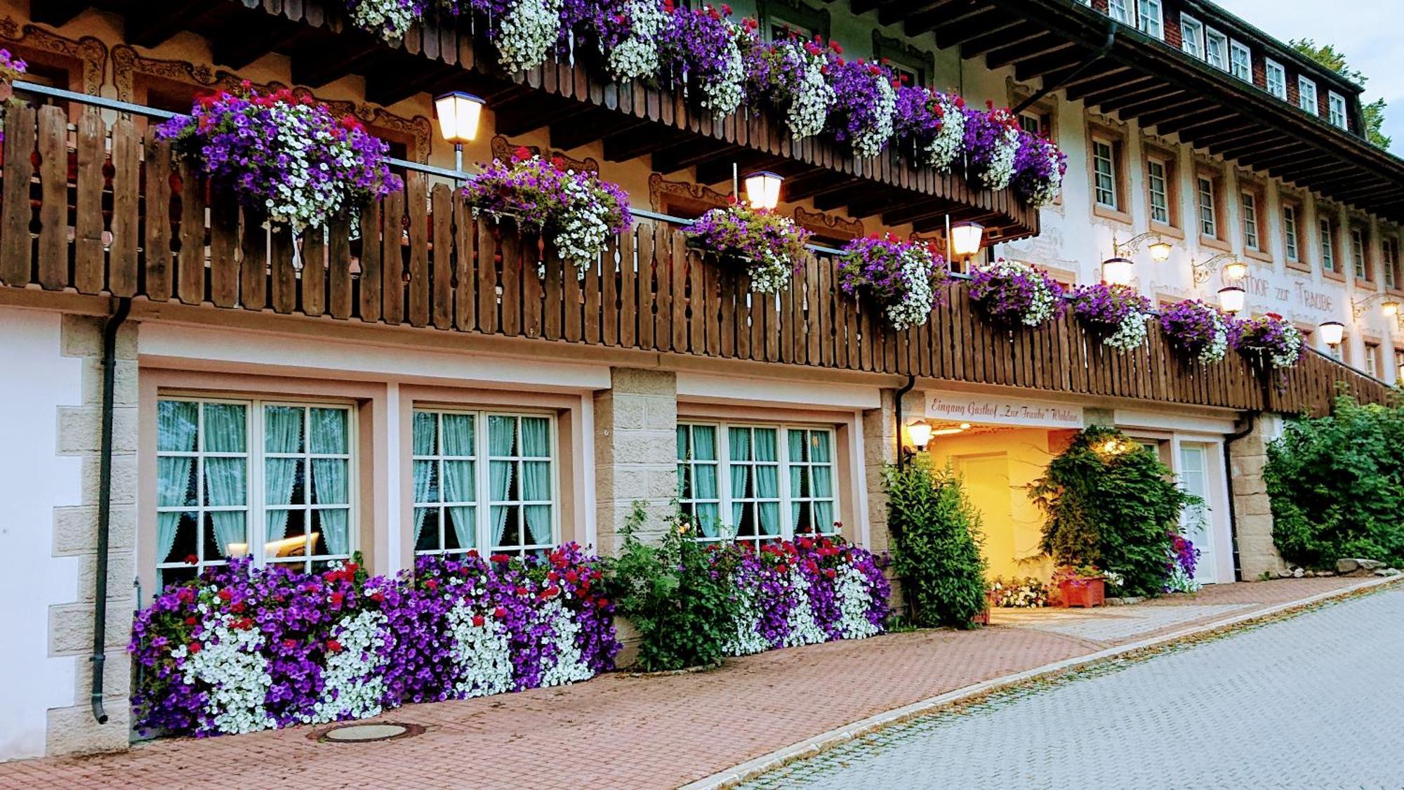 Zur Traube Schwarzwaldhotel & Restaurant Am Titisee Sankt Märgen Esterno foto